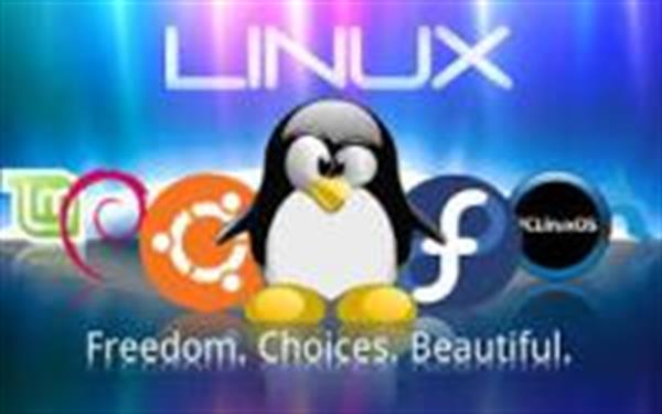چرا لینوکس بهترین انتخاب برای برنامه‌نویسان و توسعه‌دهندگان است؟